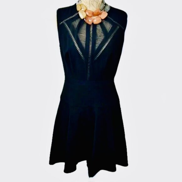 BCBG Maxazria Aynn Fit & Flare Mini Dress Size 6 Sleeveless Cutout Yoke EUC - Picture 3 of 9